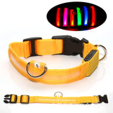 LED Glowing Dog Collar