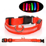 LED Glowing Dog Collar