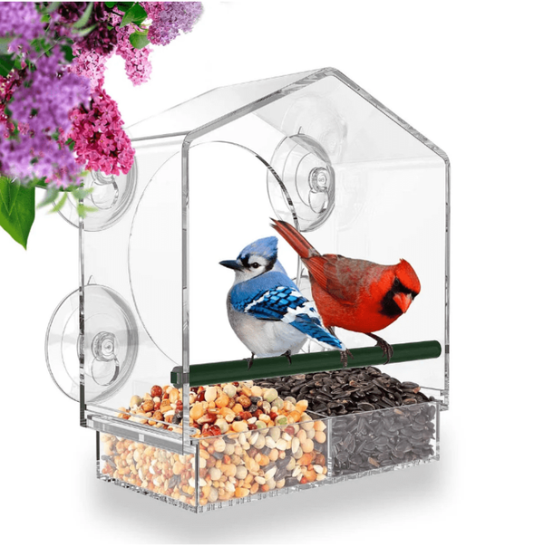 Transparent Window Case Bird Home