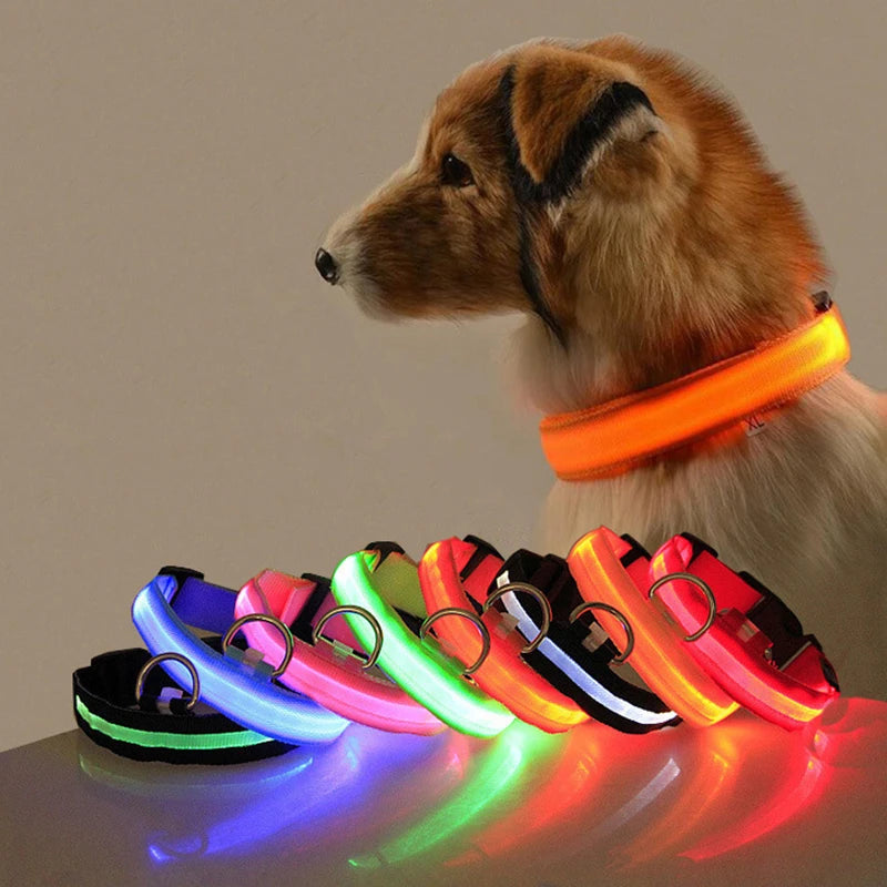 LED Glowing Dog Collar