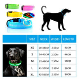 LED Glowing Dog Collar