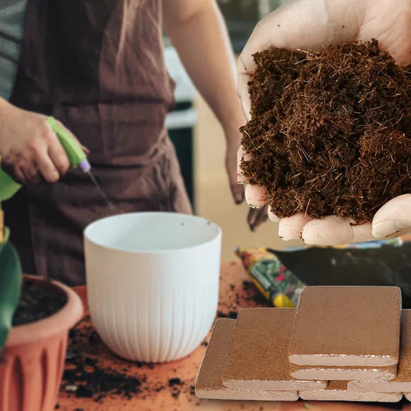 Organic Coconut Coir For Plants