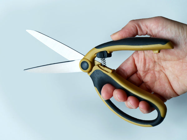 Spring Scissors